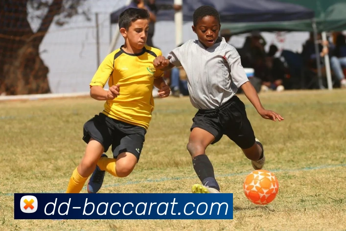 多媒体互动体验